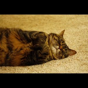 Meet your Posher, Laura